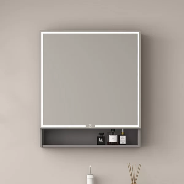 Custom With Glass Mirror Cabinet